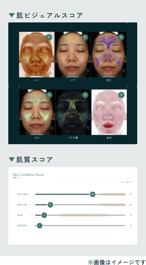 様々な分析結果と肌質スコア