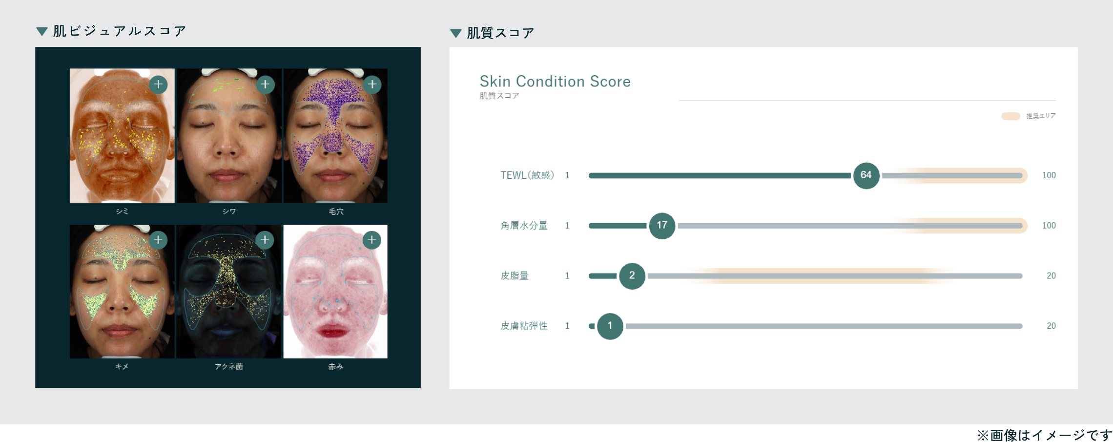 様々な分析結果と肌質スコア